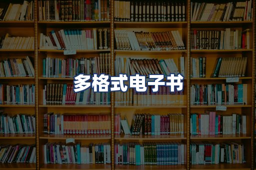 多格式电子书